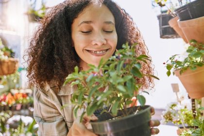 site de vente de plantes en ligne