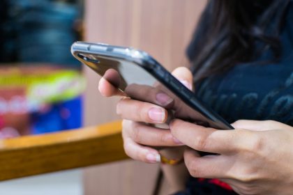 insertion professionnelle