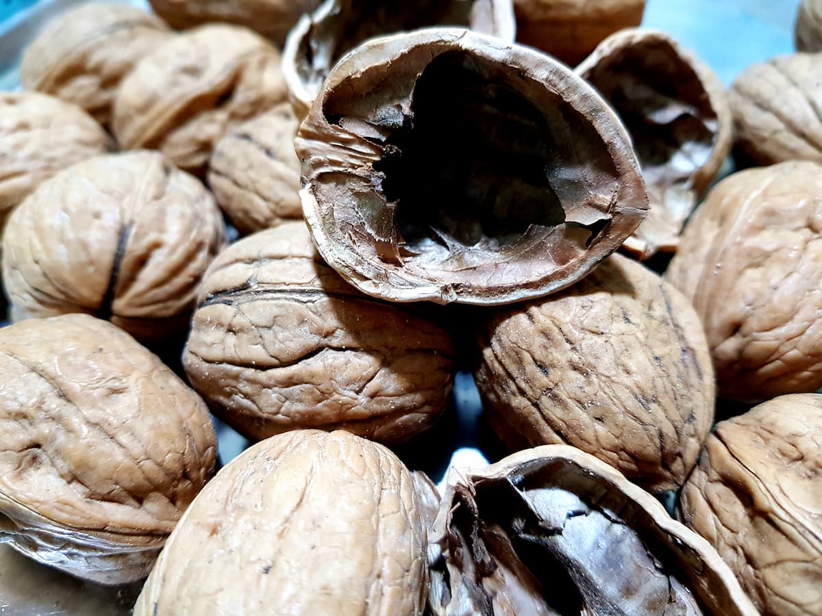 tremper les noix de grenoble