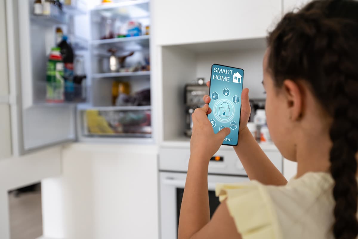 entreprise domotique