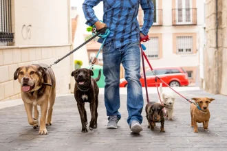 dog walker paris