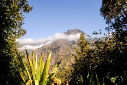 blog de la reunion voiture