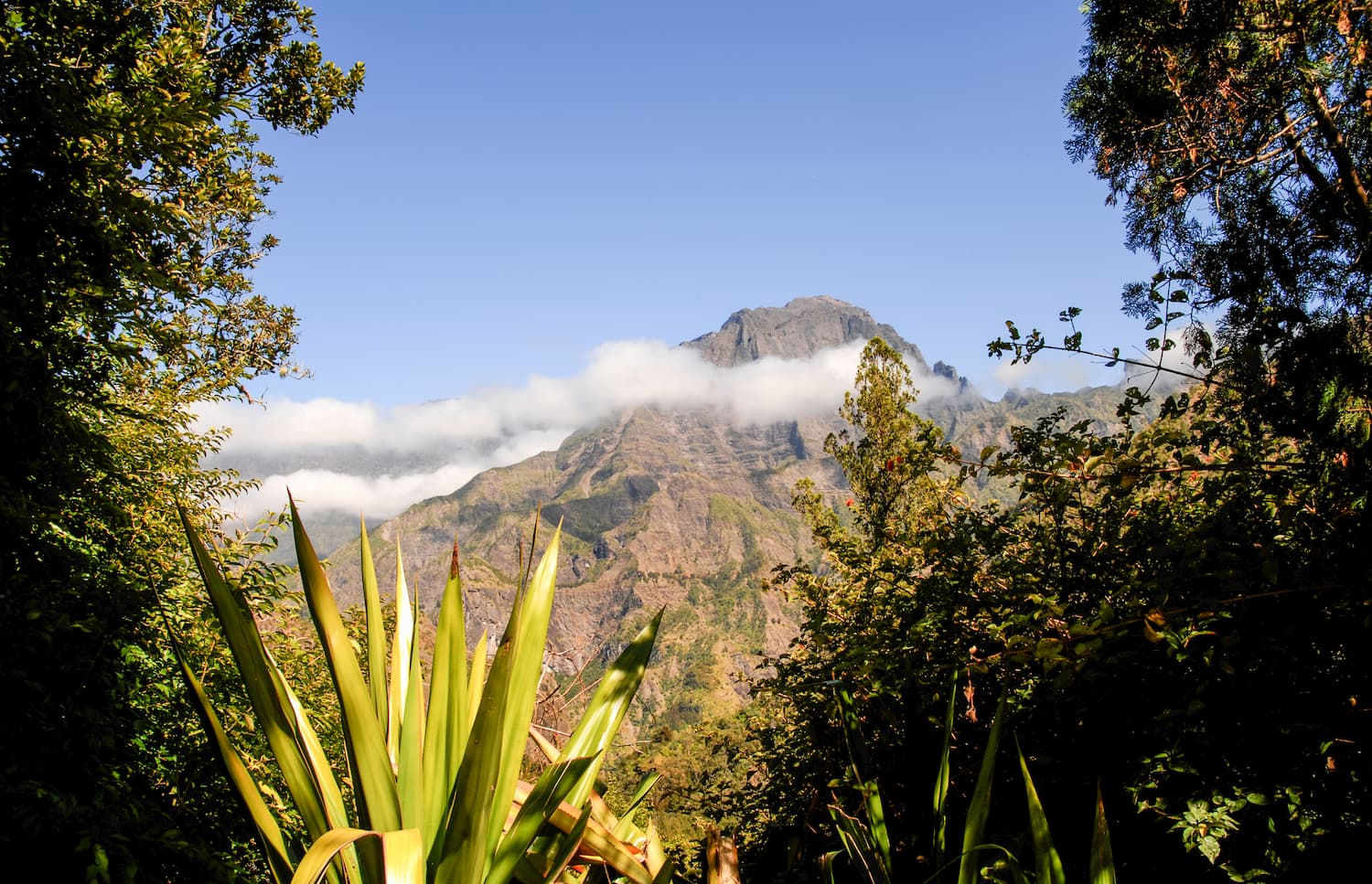 blog de la reunion voiture